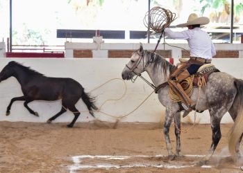 Programa de las semifinales del Campeonato Estatal de Querétaro 2025