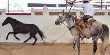 Programa de las semifinales del Campeonato Estatal de Querétaro 2025
